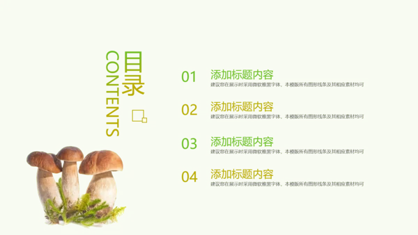 绿色植物野生菌类生长动态ppt