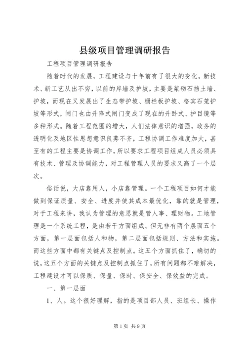 县级项目管理调研报告 (2).docx