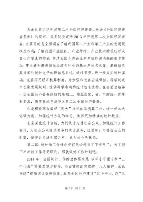 统计局工作计划 (5).docx