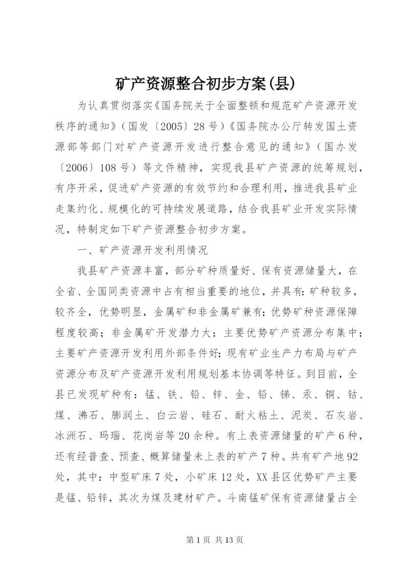 矿产资源整合初步方案(县).docx