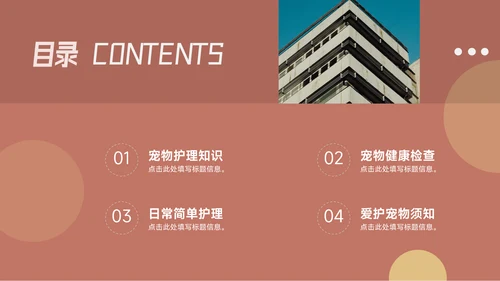 红色前沿图文宠物健康护理PPT模板