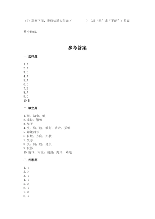 教科版科学三年级下册 期末测试卷及一套答案.docx