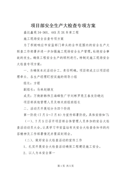 项目部安全生产大检查专项方案 (2).docx