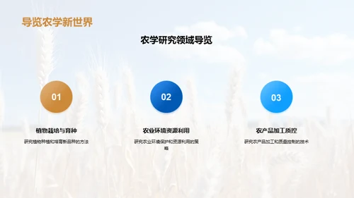 农学研究与答辩指南