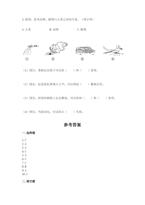 教科版二年级上册科学期末测试卷精品（模拟题）.docx