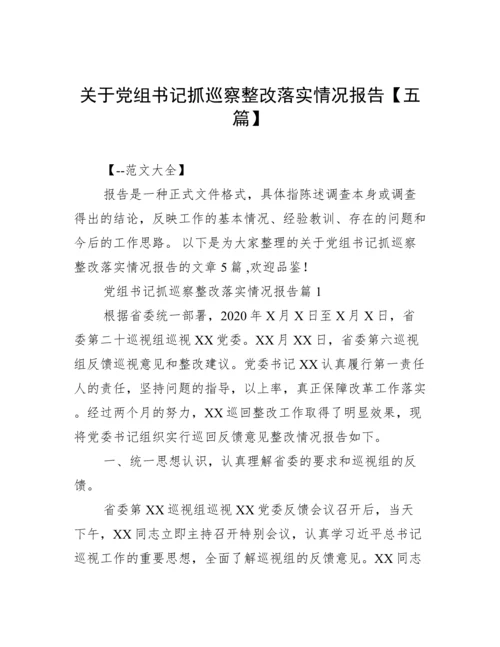 关于党组书记抓巡察整改落实情况报告【五篇】.docx