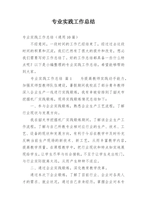 专业实践工作总结.docx
