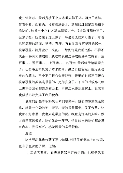 大学生社会实践报告农村