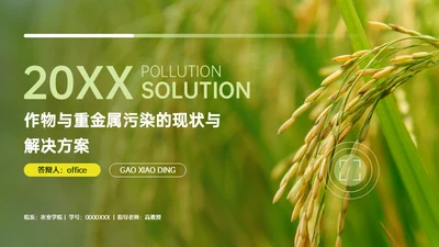 稻谷麦穗增产农作物与重金属污染通用PPT模板