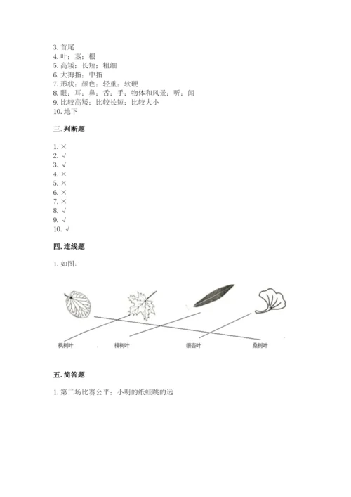 教科版一年级上册科学期末测试卷附参考答案【轻巧夺冠】.docx