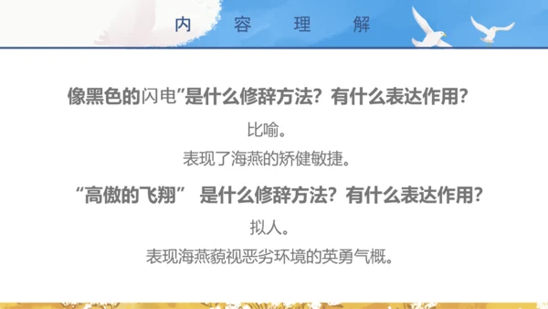 初中教师海天海燕教育教学课件PPT模板