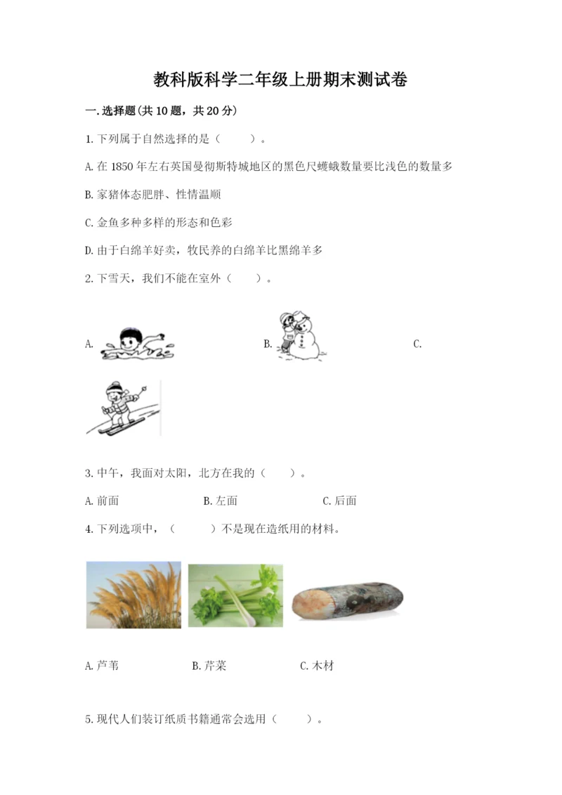 教科版科学二年级上册期末测试卷【考点精练】.docx