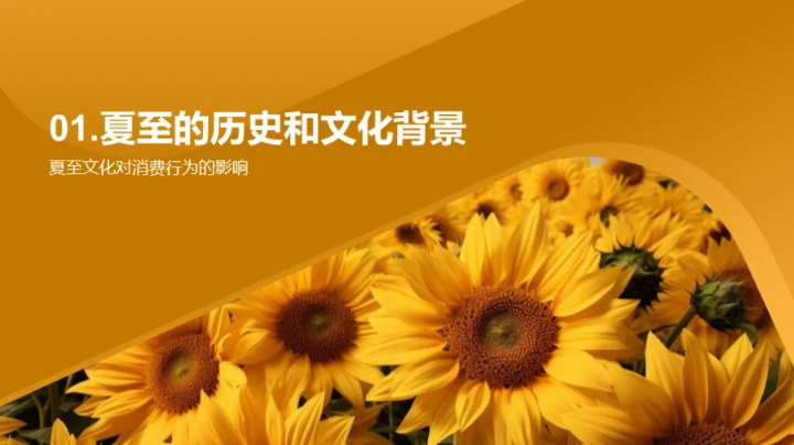 夏至营销战略解析