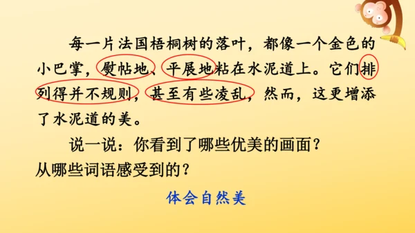 5《铺满金色巴掌的水泥道》   课件