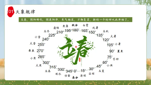 立春杨柳春风通用PPT模板