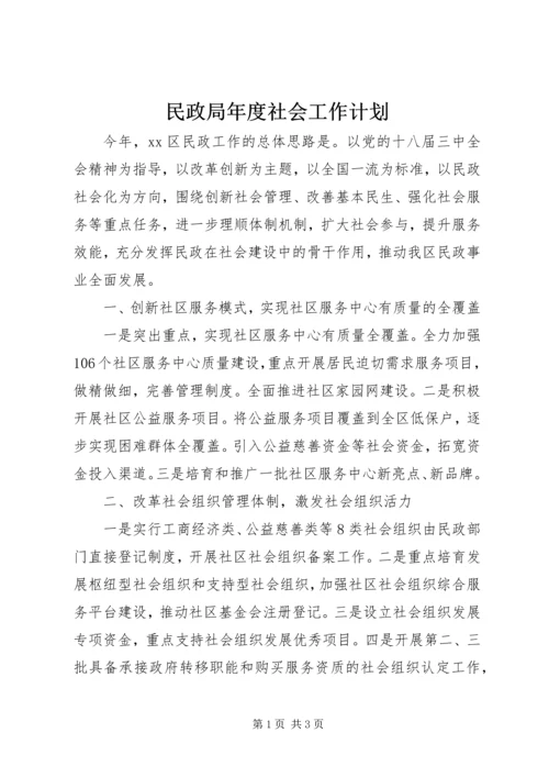 民政局年度社会工作计划.docx