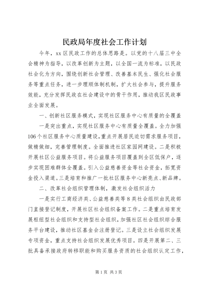 民政局年度社会工作计划.docx