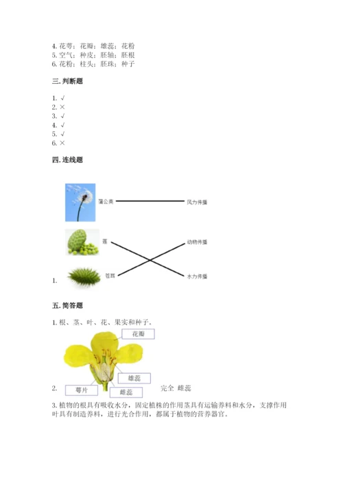 科学四年级下册第一单元《植物的生长变化》测试卷（能力提升）.docx