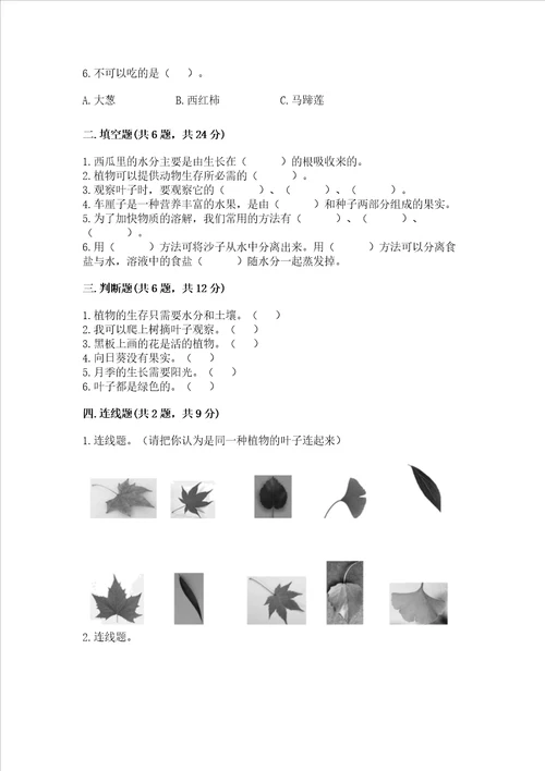 教科版科学一年级上册第一单元植物测试卷精品