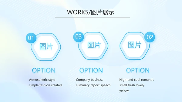 蓝色大气公司产品介绍图片展示PPT动态模板