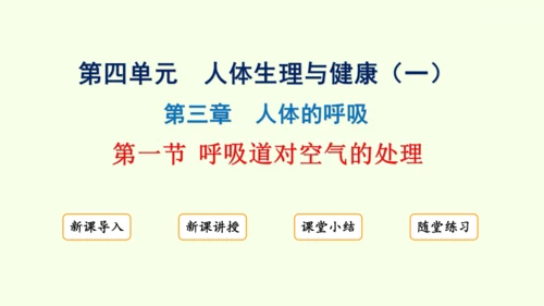 4.3.1 呼吸道对空气的处理-七年级生物下学期同步精品课件（2024人教版）(共26张PPT)