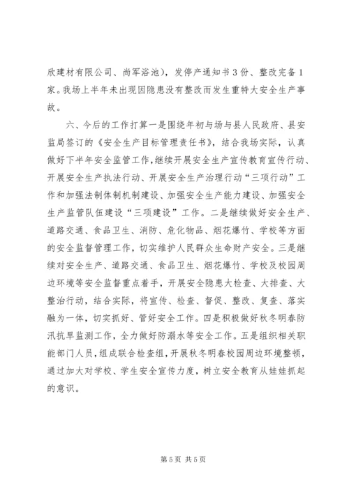 林场上半年安全生产工作总结及下半年工作计划.docx