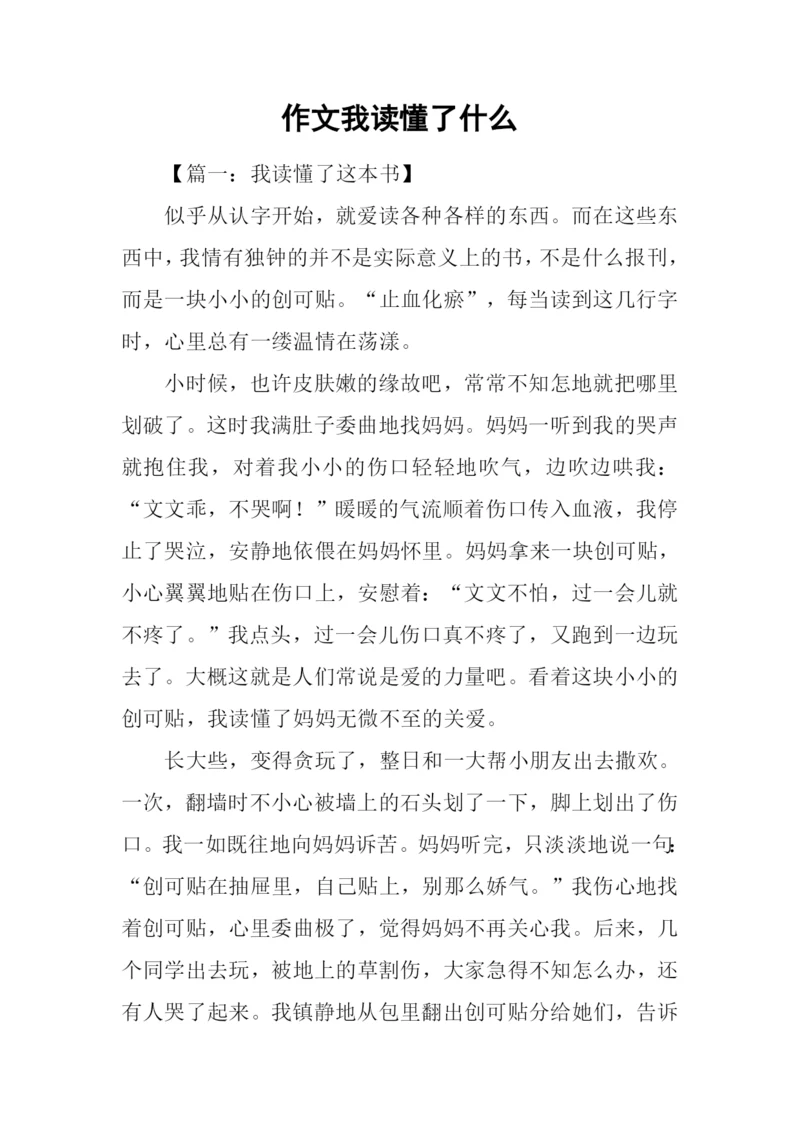 作文我读懂了什么-1.docx