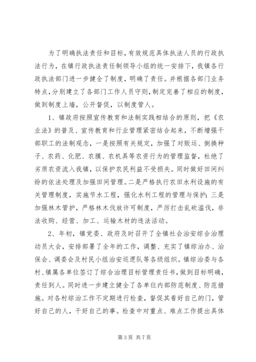 乡镇行政执法工作年度总结.docx