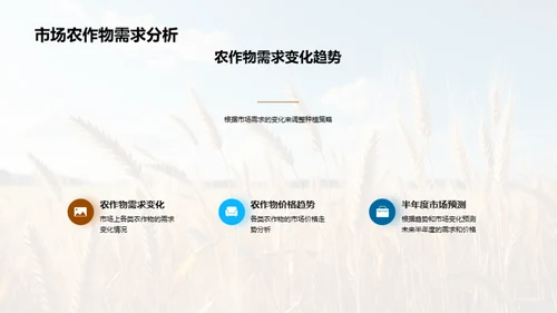 农业收益优化策略