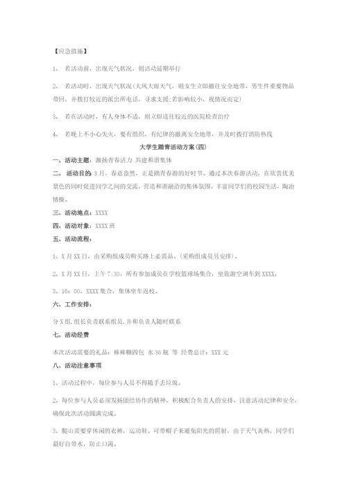 大学生踏青活动方案.docx