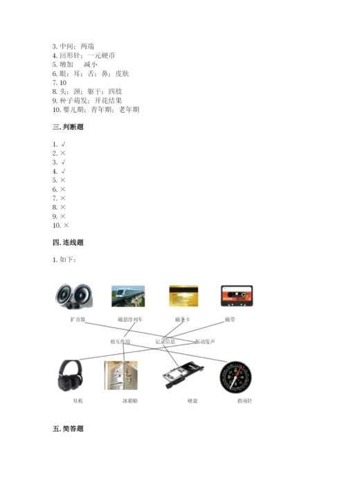 教科版小学科学二年级下册期末测试卷附参考答案【轻巧夺冠】.docx