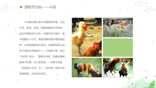 清明节传统文化知识民俗主题班会PPT模板