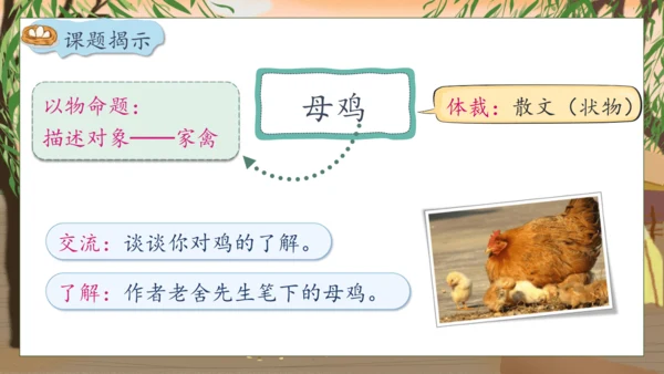 【核心素养】部编版语文四年级下册-14.母鸡 第1课时（课件）