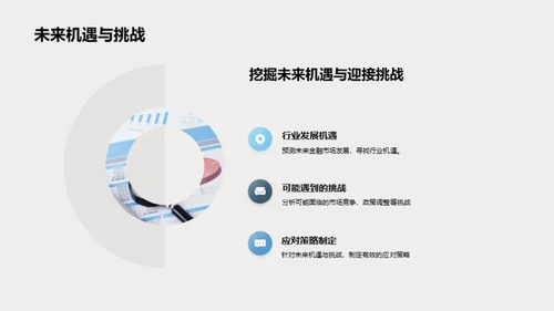 公司未来发展规划