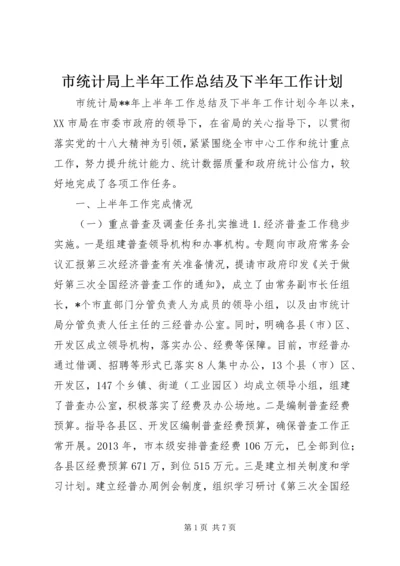 市统计局上半年工作总结及下半年工作计划.docx