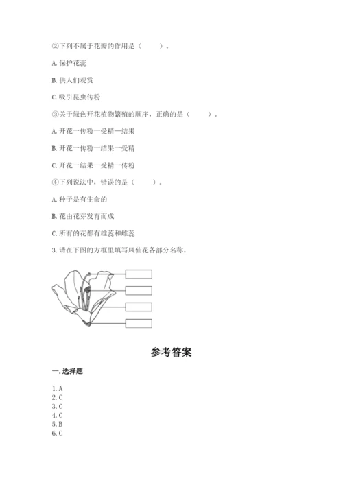 教科版四年级下册科学第一单元《植物的生长变化》测试卷（模拟题）.docx