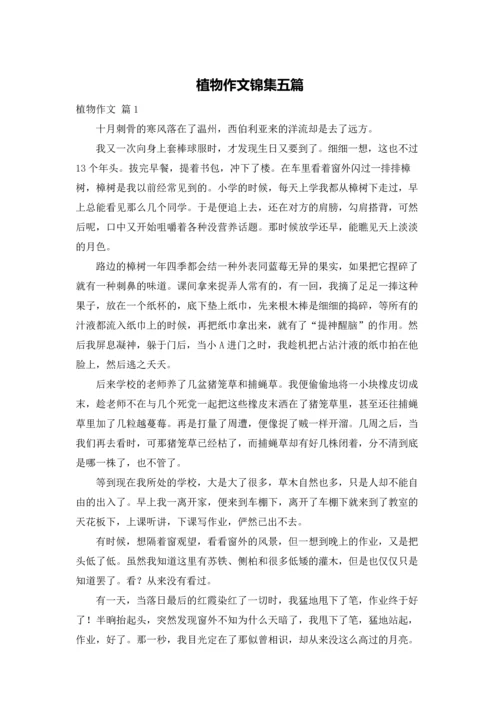 植物作文锦集五篇.docx