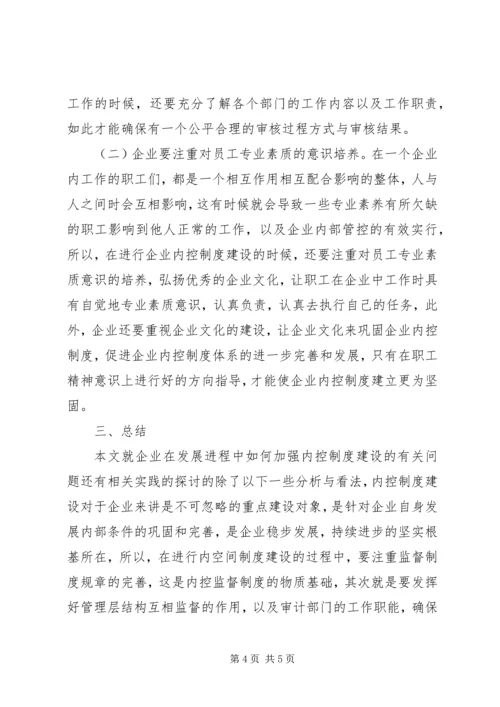 企业发展加强内控制度建设.docx