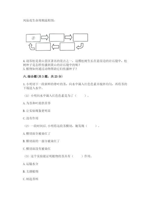 教科版四年级下册科学第一单元《植物的生长变化》测试卷加精品答案.docx