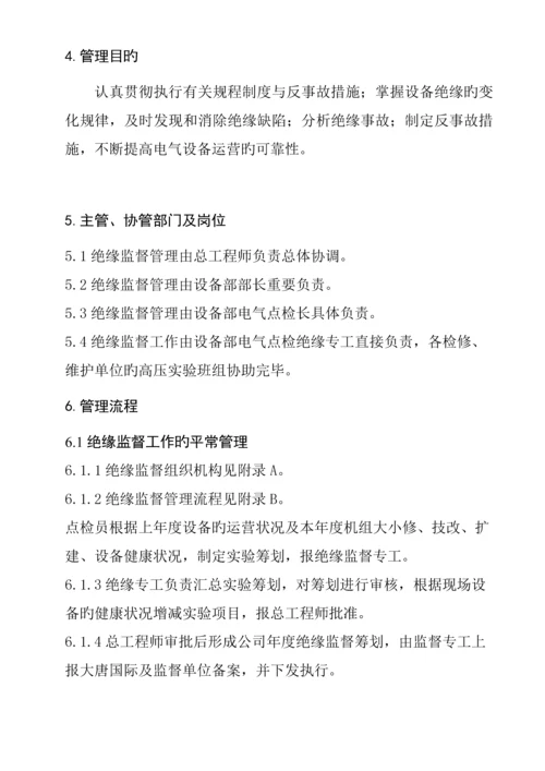 公司绝缘监督管理重点标准.docx