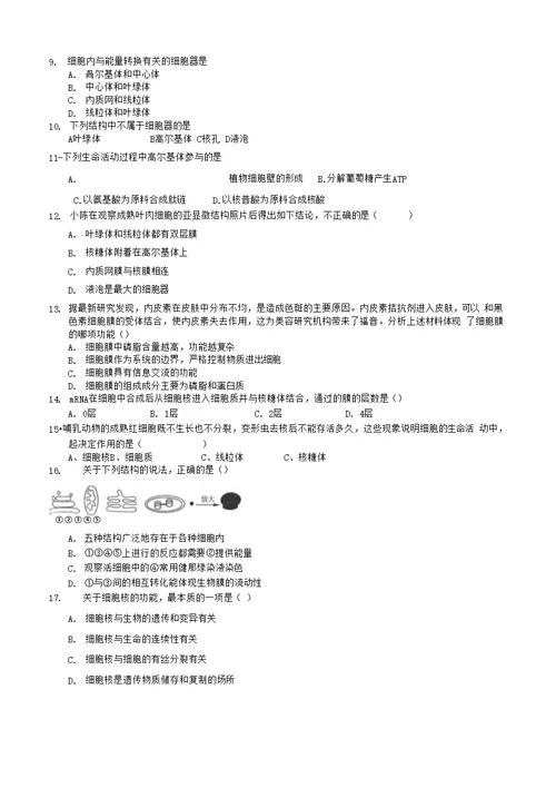 高中生物 细胞的类型和结构测试题15 苏教版必修1