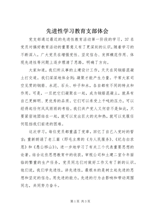 先进性学习教育支部体会.docx