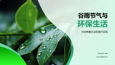 谷雨节气与环保生活