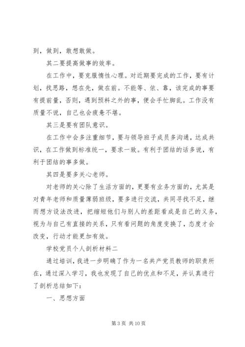 学校党员个人剖析材料.docx