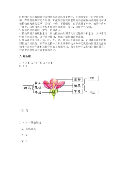 科学四年级下册第一单元植物的生长变化测试卷含答案【满分必刷】.docx