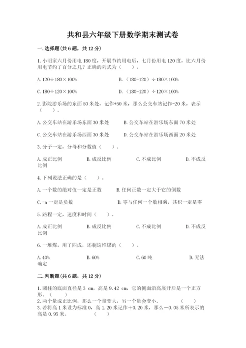 共和县六年级下册数学期末测试卷（精练）.docx