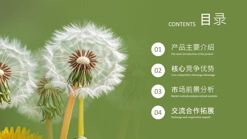 绿色系植物图文排版目录页
