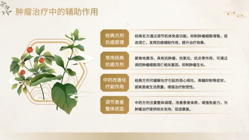 黄色中国风中药方剂应用PPT