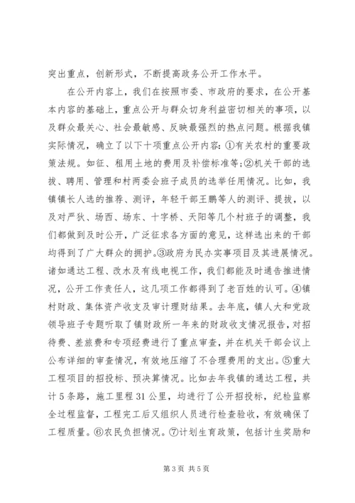 乡镇政务公开工作总结范文.docx