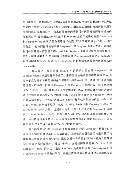 锤头状核酶的活性鉴定与抗凋亡作用分析